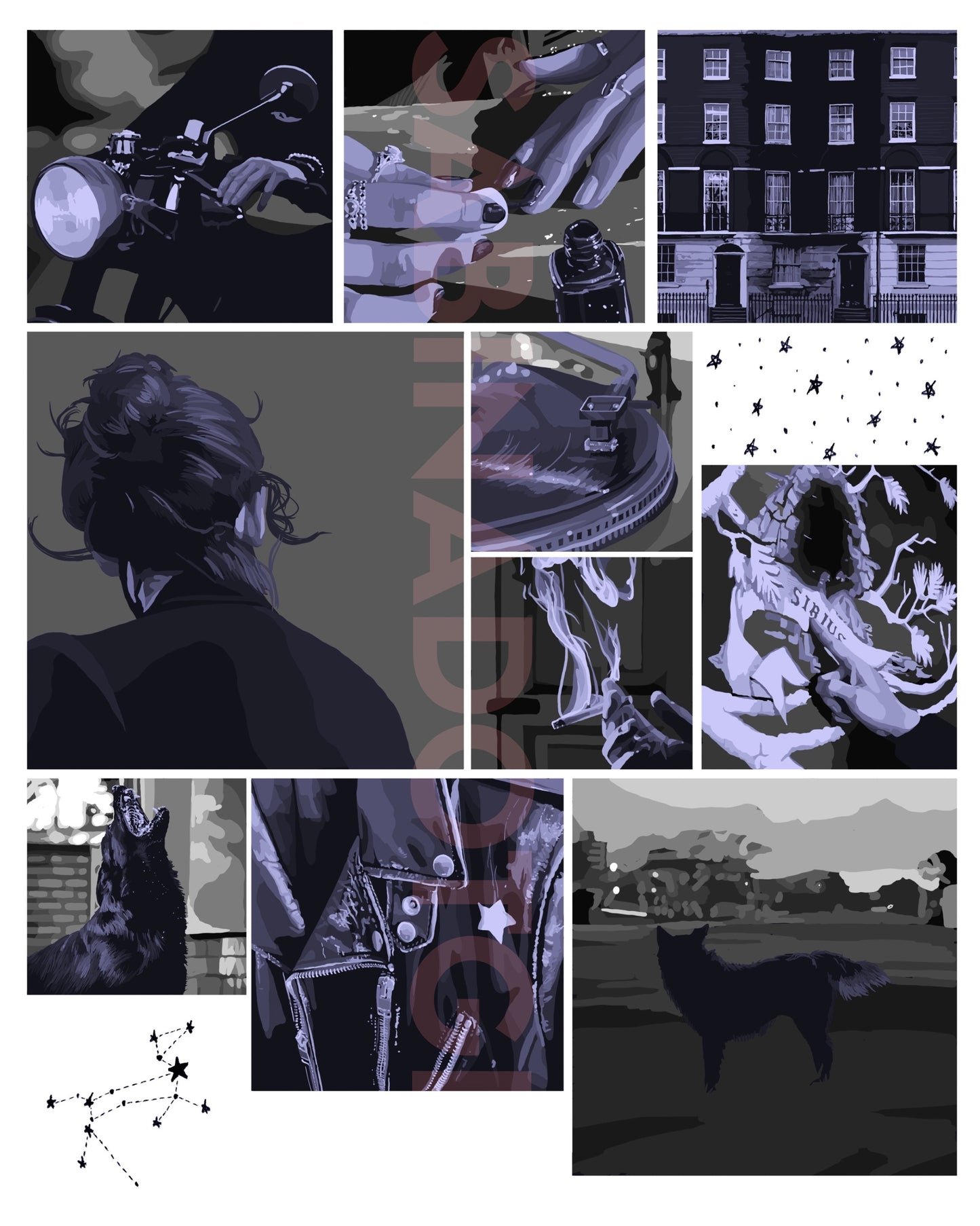 Sirius Marauders Print