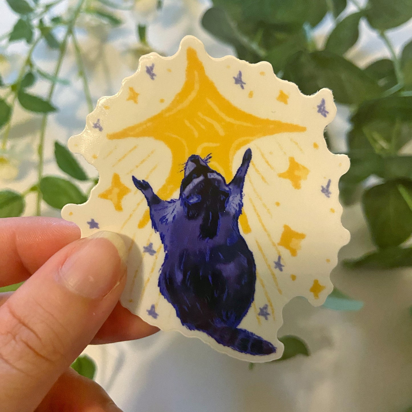Raccoon Sticker