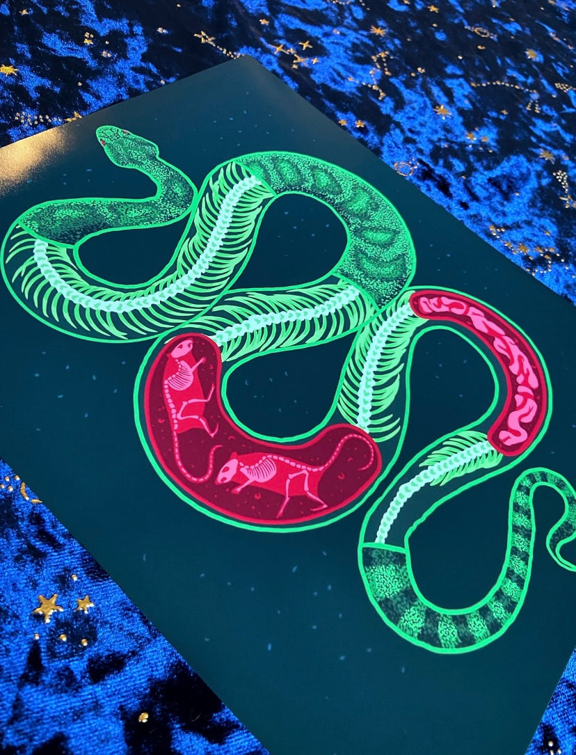 Snake Skeleton 8x10 Print